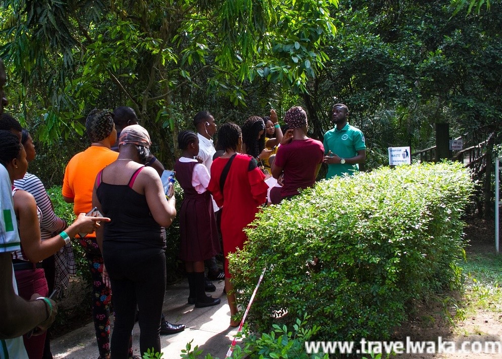 tour guide Lekki Conservation Centre
