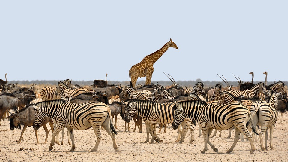 Top Tourist Attractions in Namibia
