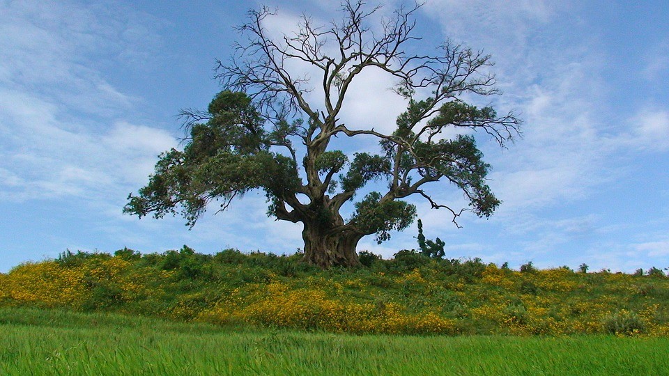tourist sites in Ethiopia