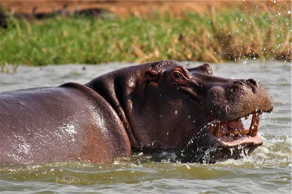 tourist attractions in Uganda