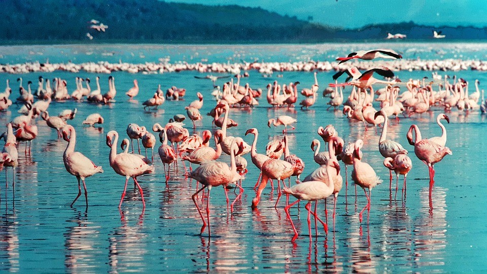top tourist attractions in kenya