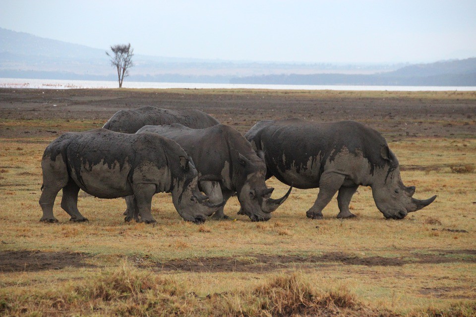 Top Tourist Attractions in Zimbabwe