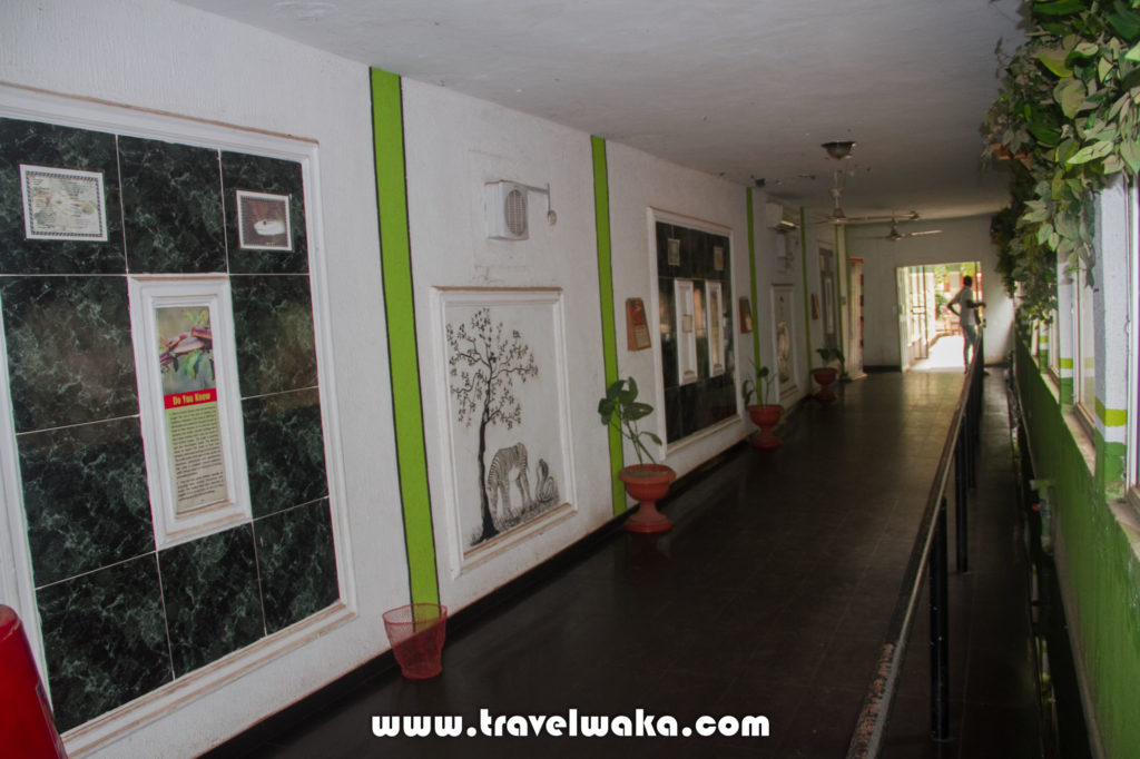 facilities at ibadan zoo