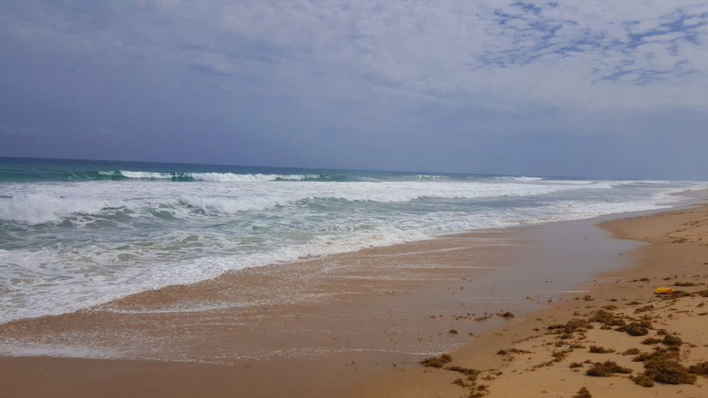 coconut beach