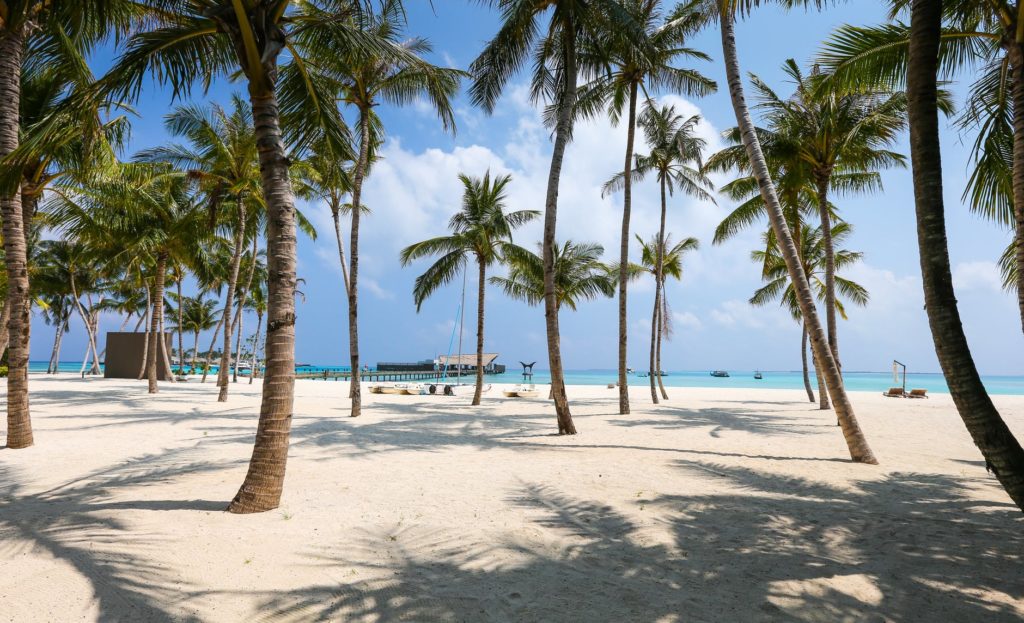 beaches in USA