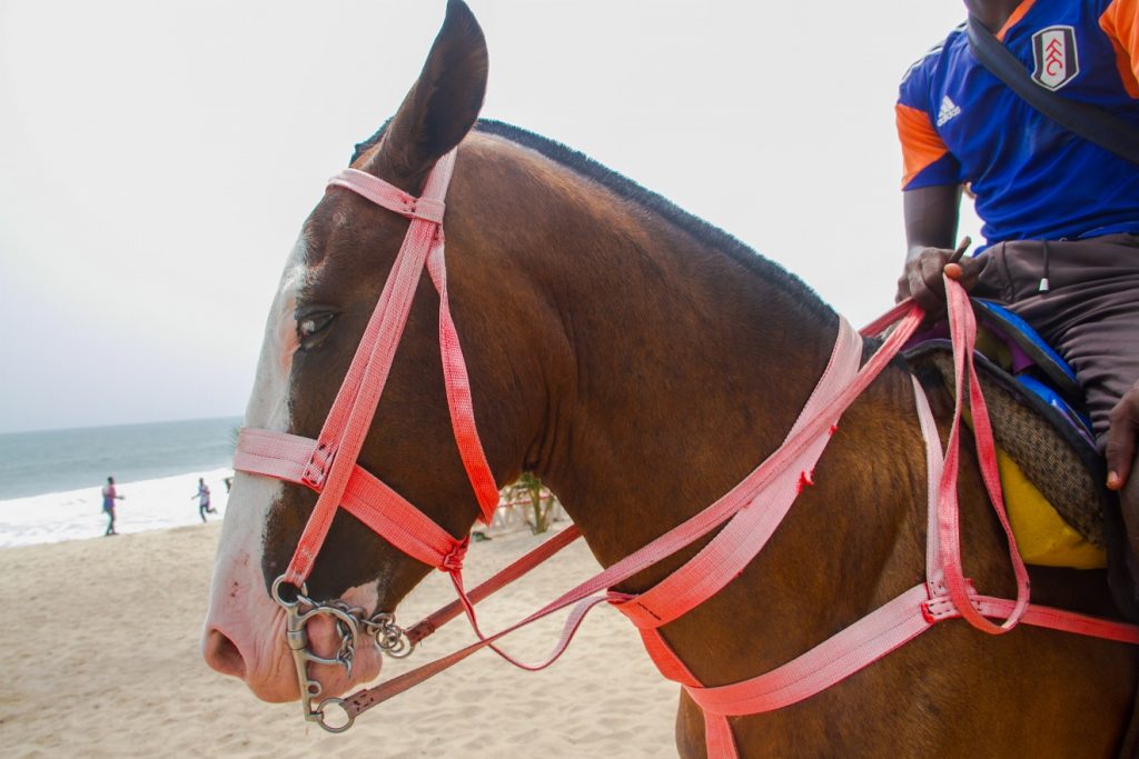 horse riding at the beach