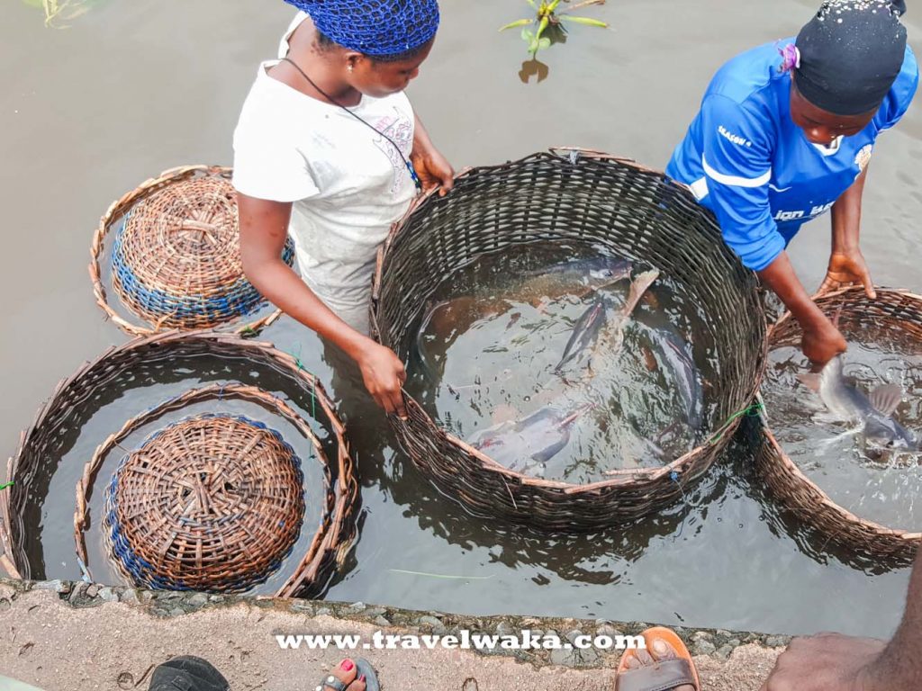 market women