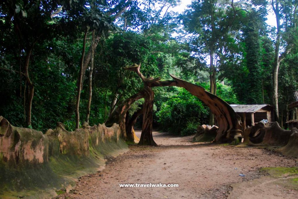 entrance of osun osogbo grove