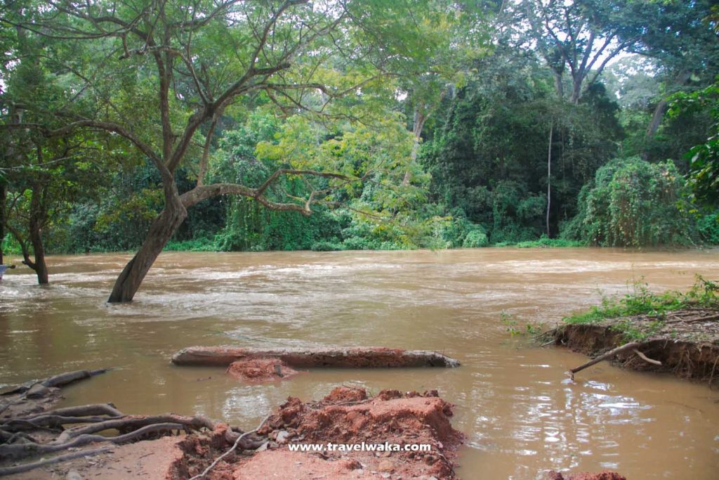 osun osogbo river
