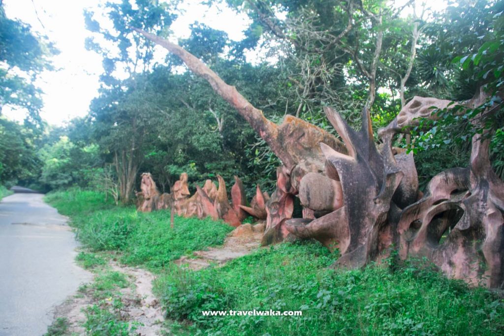 osun grove