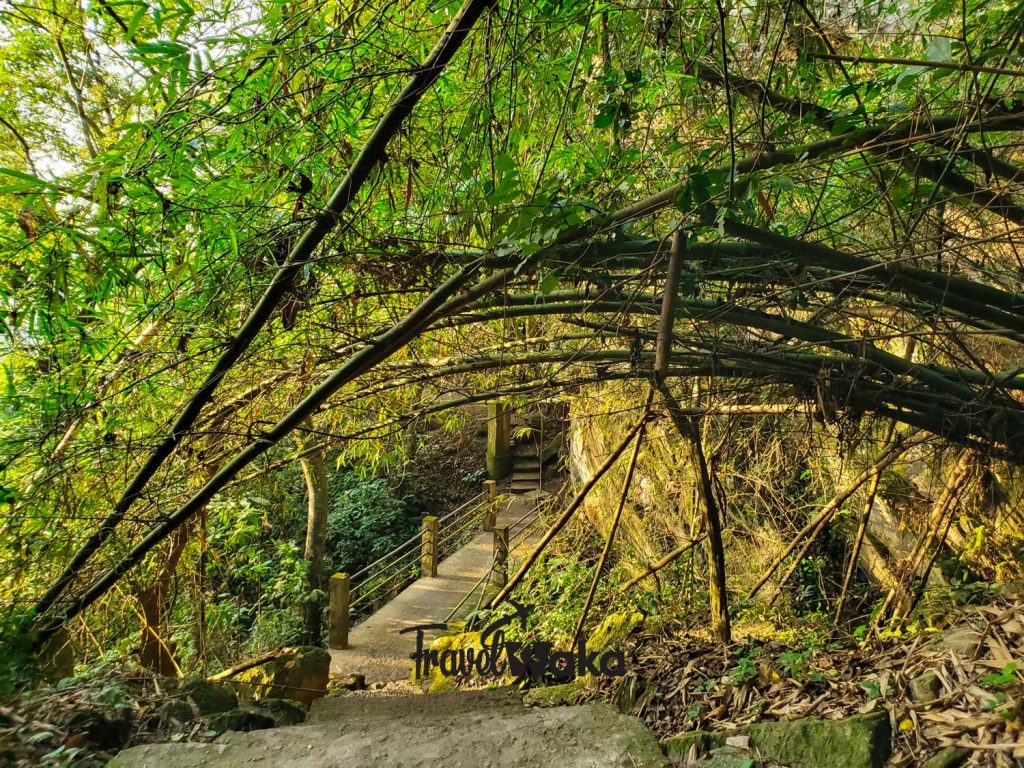 hiking at erin ijesha