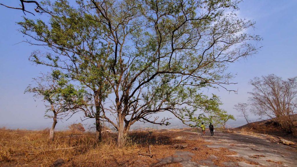 nature in Oyo Nigeria