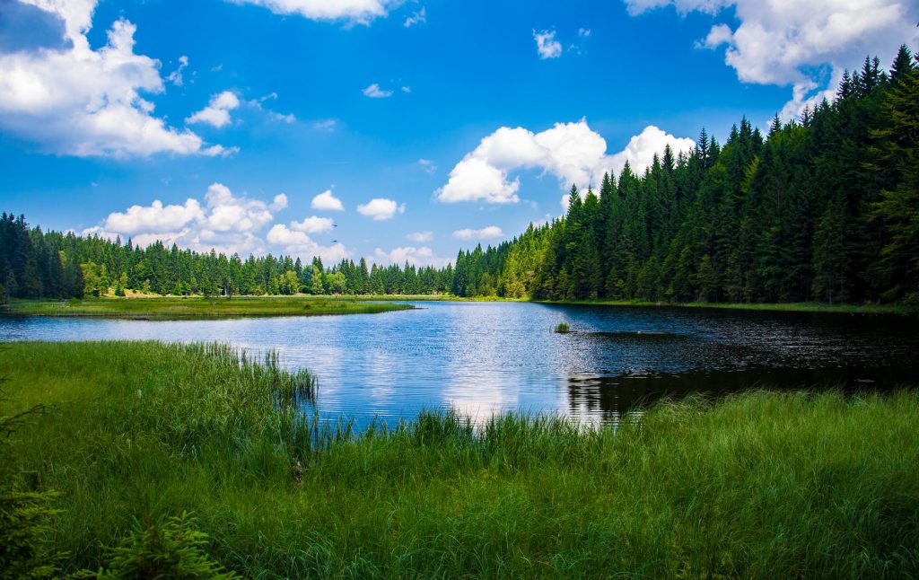 Lakes bodies of water