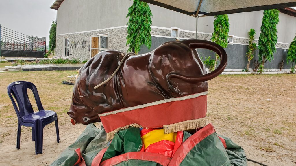 bull riding