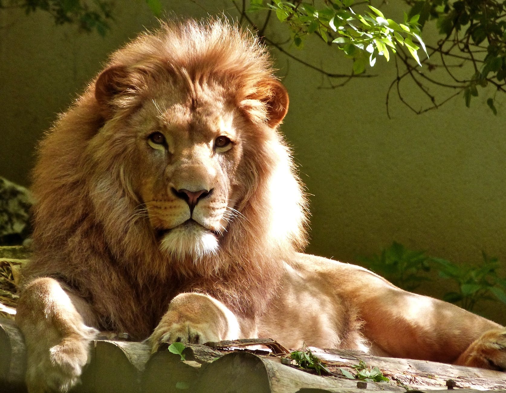 zoos in nigeria