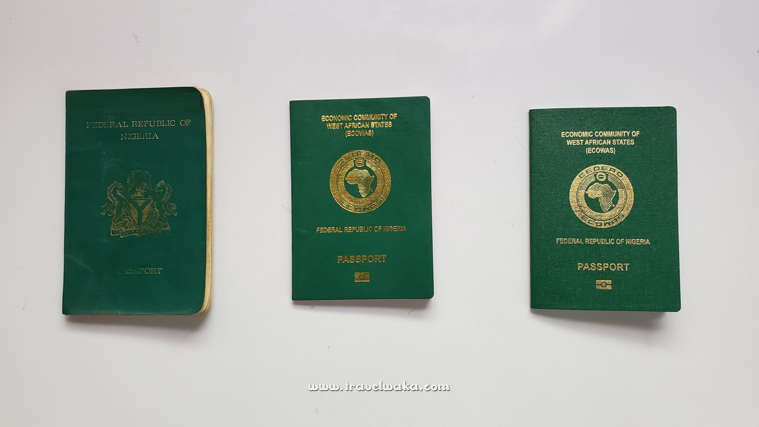 the new international passport