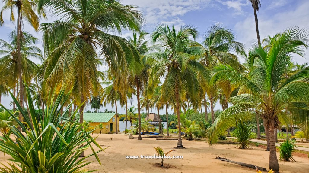 beautiful beach in benin republic