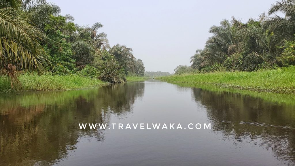 mangroves in epe lagos