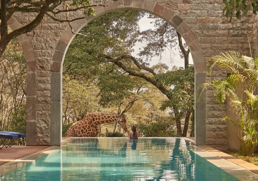 swimming pool at hotel kenya