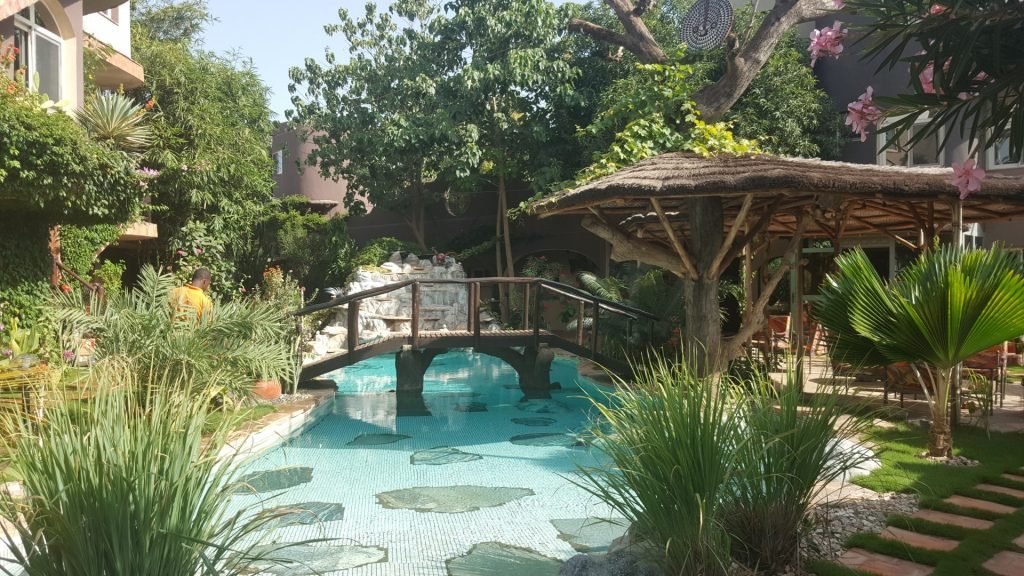 These are the 23 visa-free countries for Nigerians