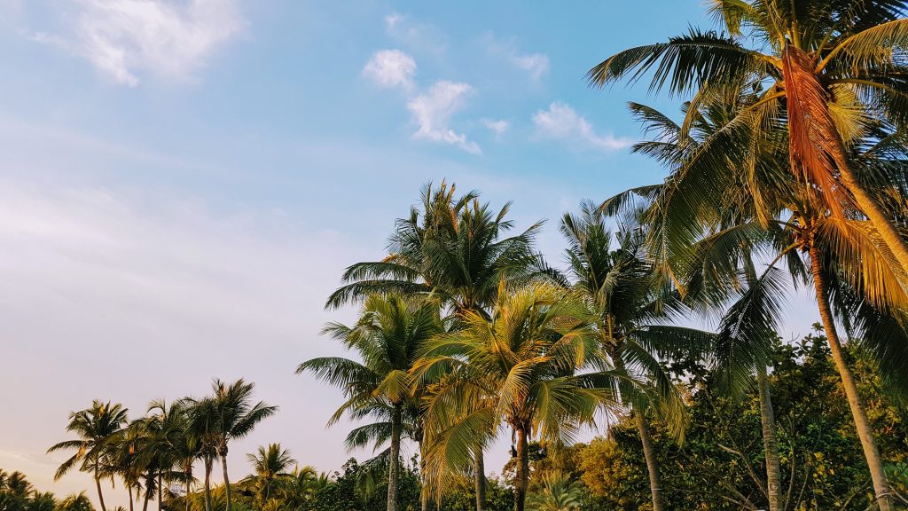 coconut beach badary, lagos