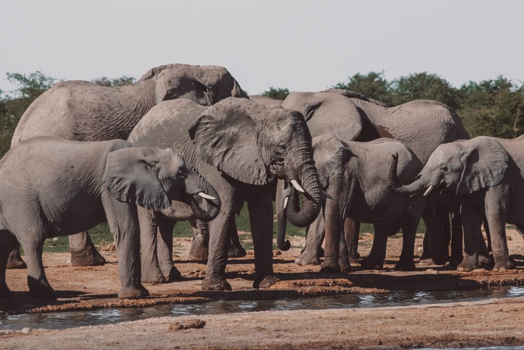 places to visit in africa namibia