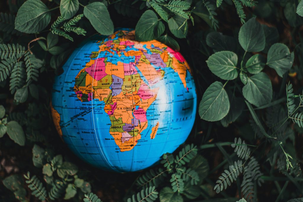 travel to south africa