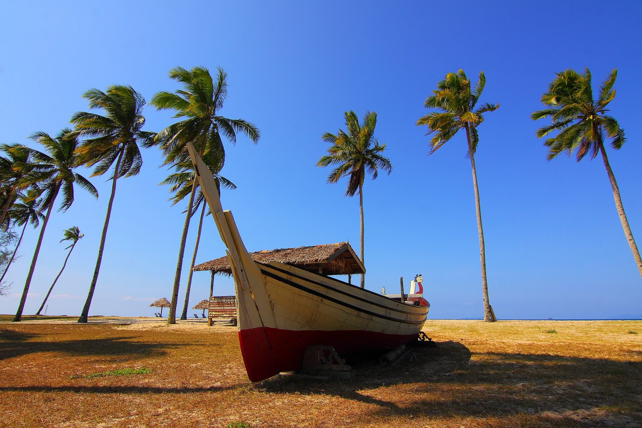 coconut beach