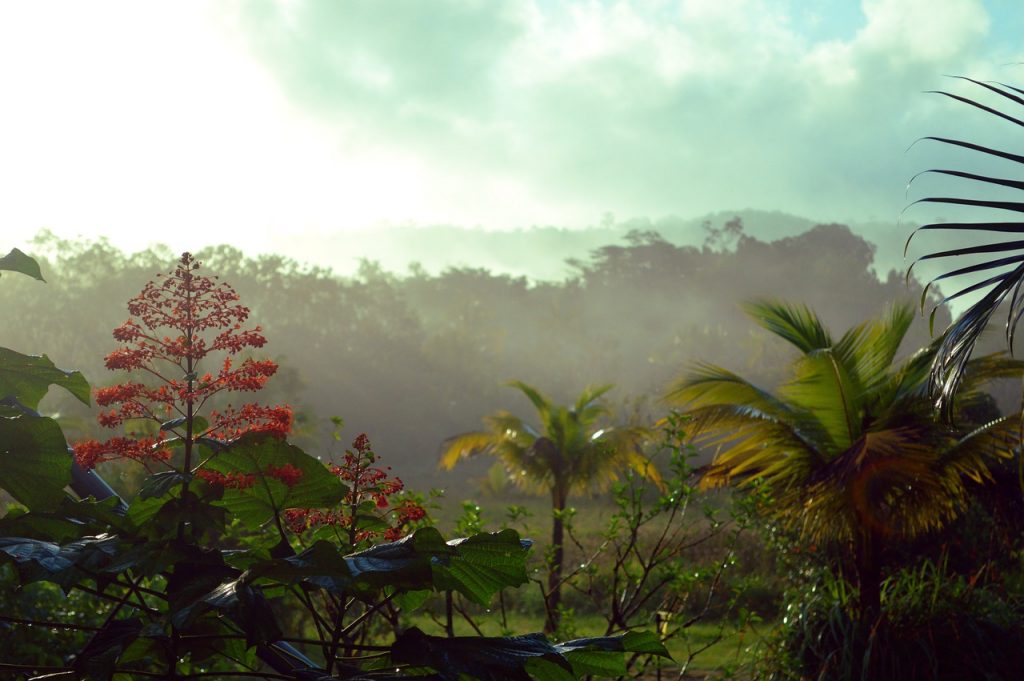 guyana country