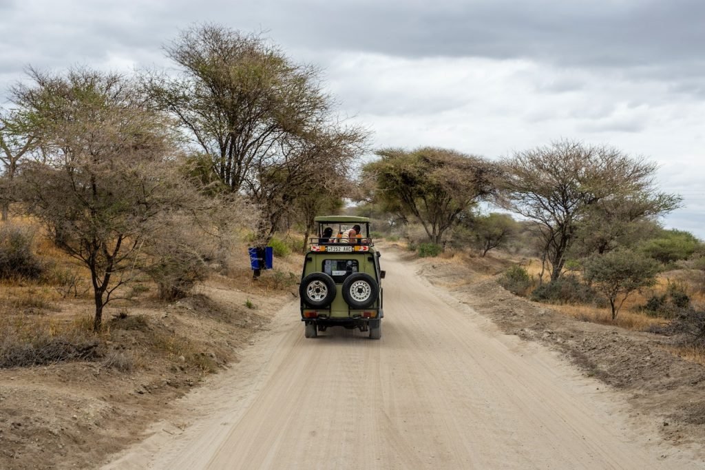 safari africa