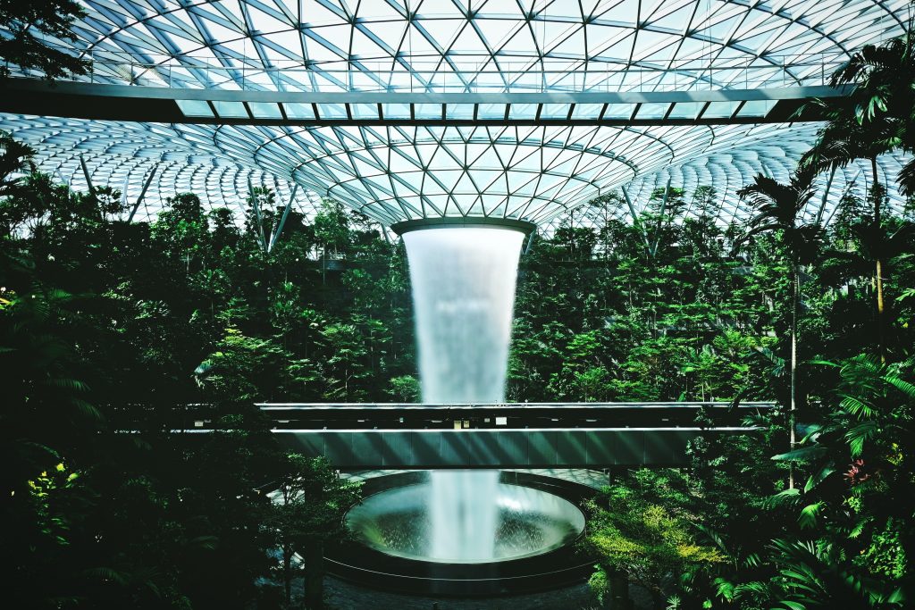 Singapore Botanic Gardens