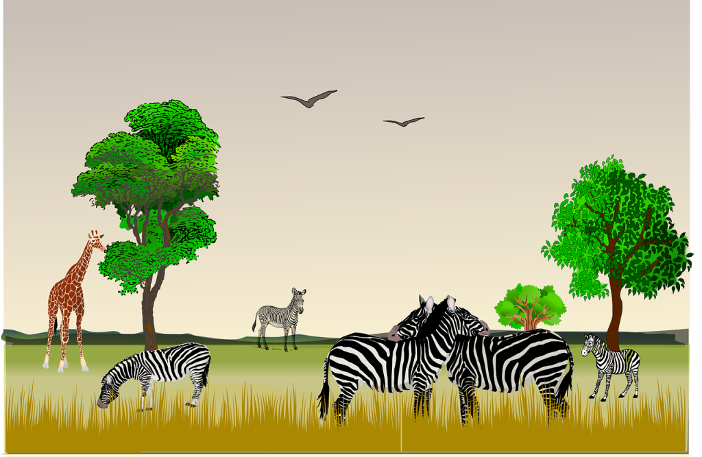 east africa tourist visa